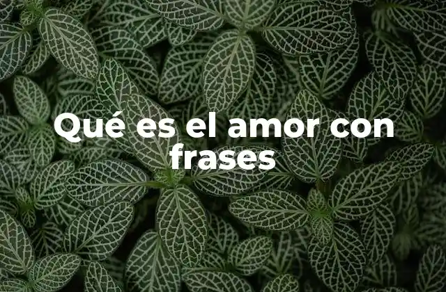 Qué es el Amor con Frases