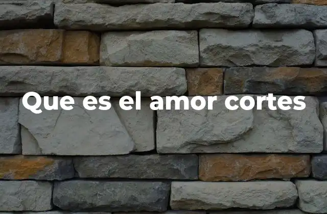 Que es el Amor Cortes