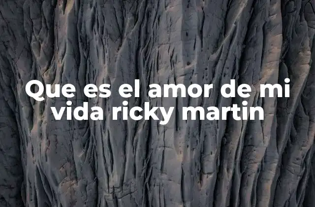 Que es el Amor de Mi Vida Ricky Martin
