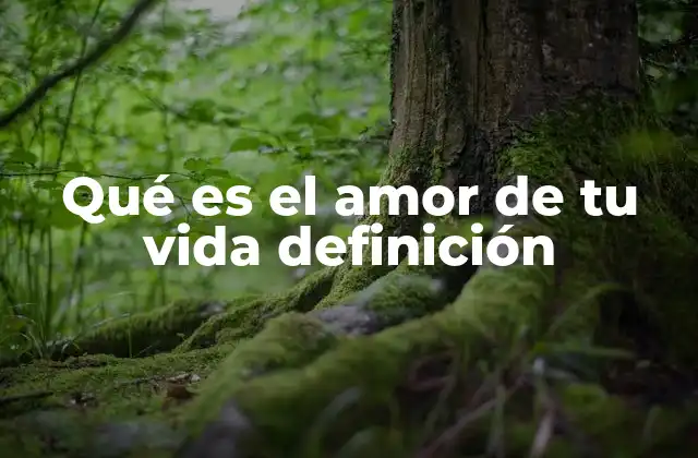 Qué es el Amor de Tu Vida Definición 2 La importancia del amor verdadero en la vida humana