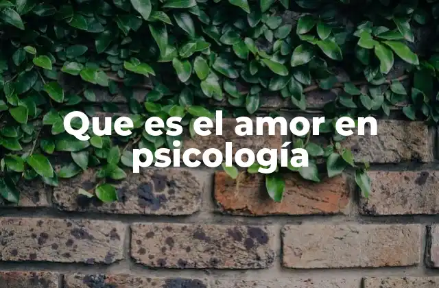 Que es el Amor en Psicología