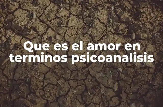 Que es el Amor en Terminos Psicoanalisis 2 El amor como estructura psíquica