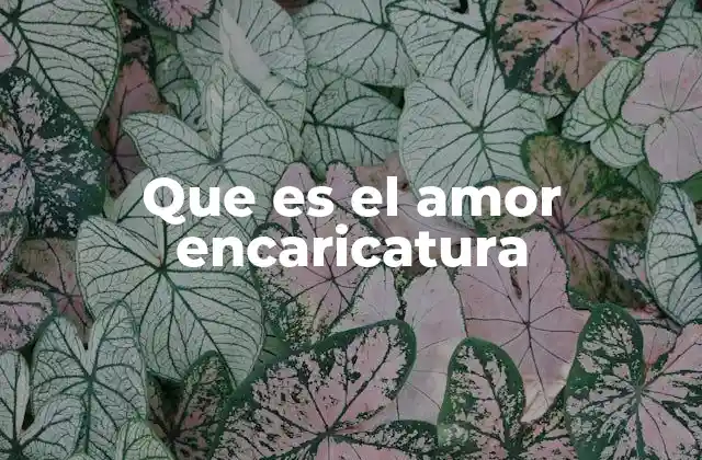Que es el Amor Encaricatura