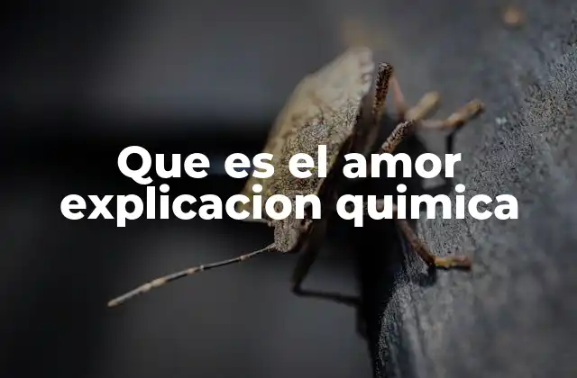 Que es el Amor Explicacion Quimica