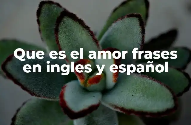 La importancia de las frases sobre el amor en diferentes contextos