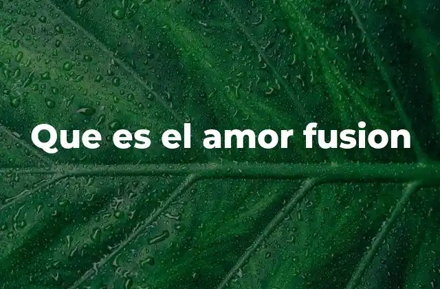 Que es el Amor Fusion