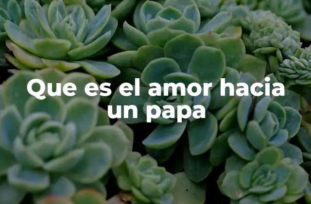 Que es el Amor hacia un Papa