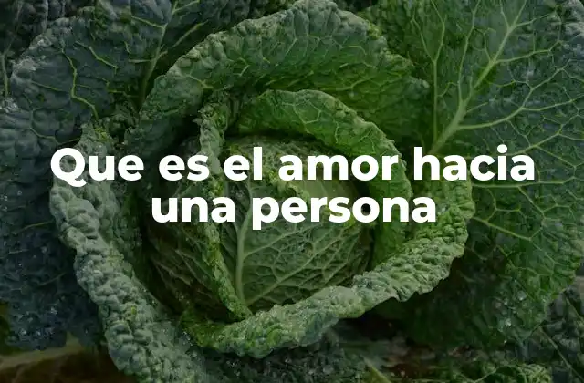 Que es el Amor hacia una Persona