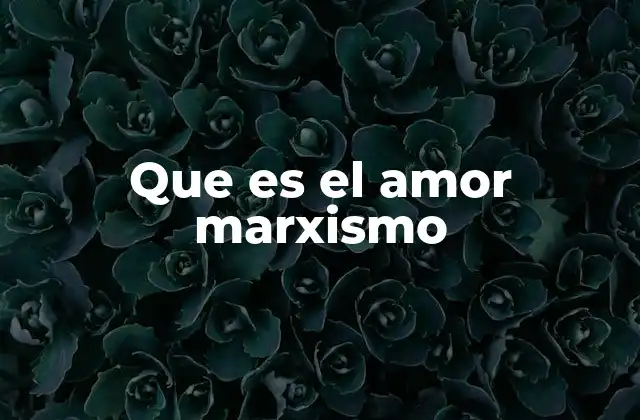 Que es el Amor Marxismo