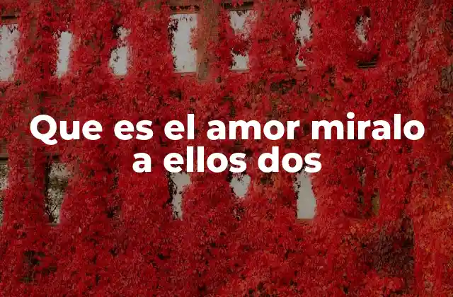 Que es el Amor Miralo a Ellos Dos 2 El amor en el día a día