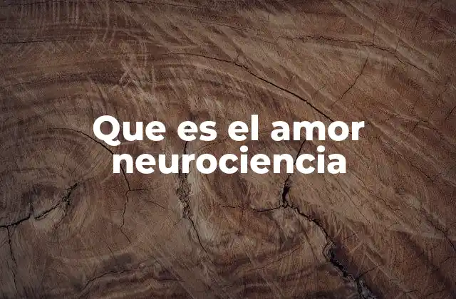 Que es el Amor Neurociencia
