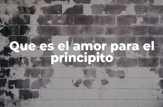 Que es el Amor para el Principito 2 La búsqueda del verdadero afecto en un mundo deshumanizado