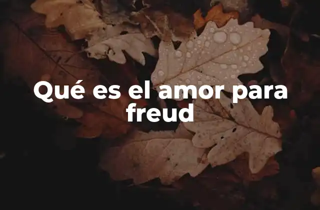Qué es el Amor para Freud 2 El amor como manifestación de la libido