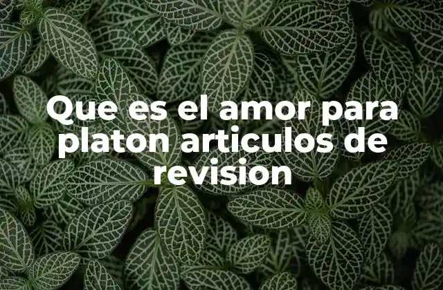 El amor como puerta a la verdad
