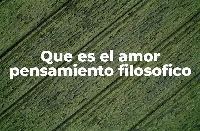 Que es el Amor Pensamiento Filosofico
