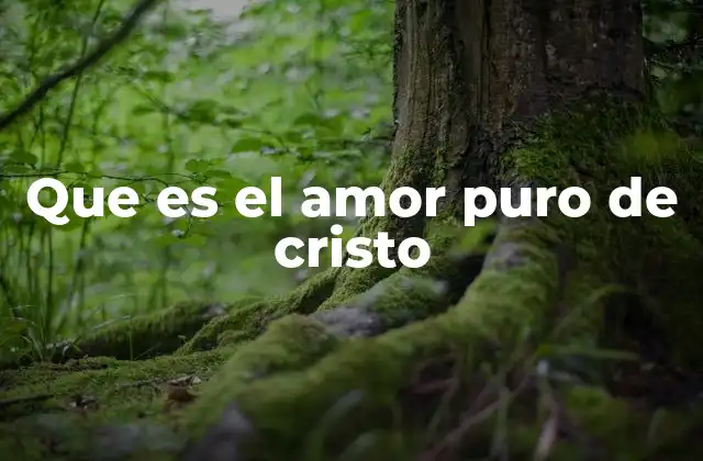 Que es el Amor Puro de Cristo 2 El amor divino como fundamento de la espiritualidad cristiana