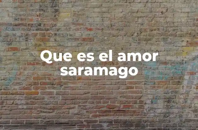 Que es el Amor Saramago