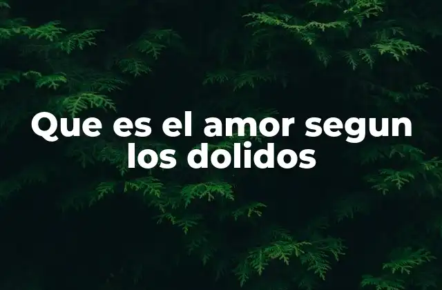 Que es el Amor Segun los Dolidos