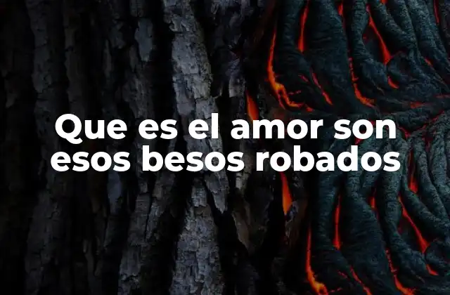 Que es el Amor Son Esos Besos Robados