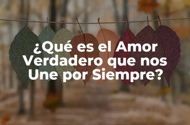 ¿qué es el Amor Verdadero que Nos Une por Siempre? 2 ¿Qué es el Amor Verdadero?