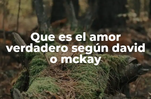 Que es el Amor Verdadero según David o Mckay