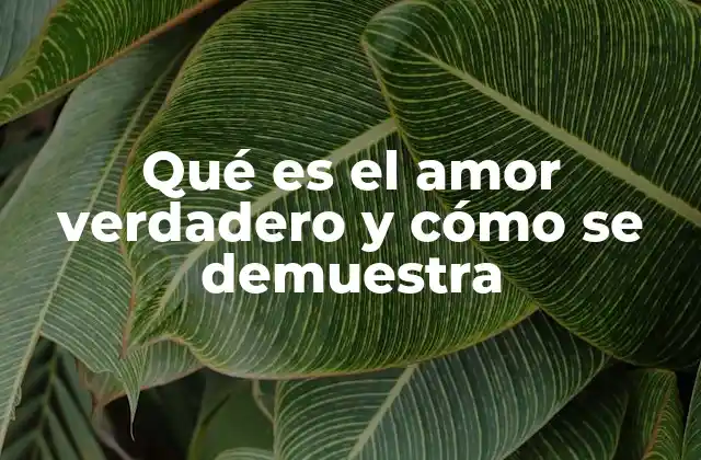 Qué es el Amor Verdadero y Cómo Se Demuestra