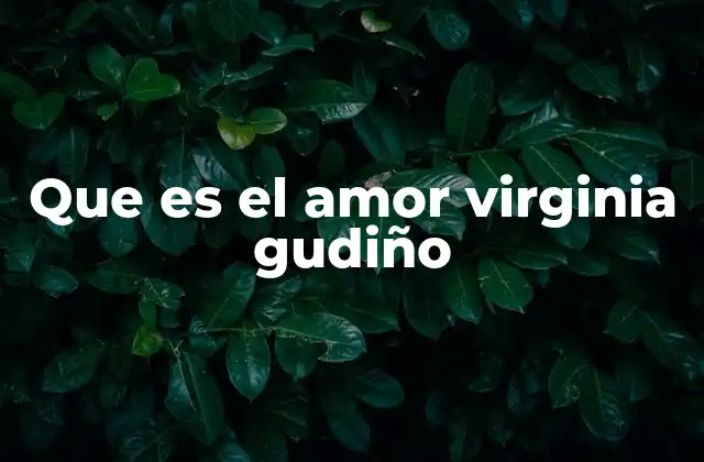 Que es el Amor Virginia Gudiño