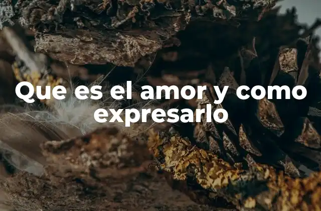 Que es el Amor y como Expresarlo 2 El lenguaje del corazón y las formas de transmitir afecto