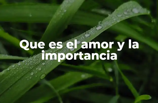 Que es el Amor y la Importancia