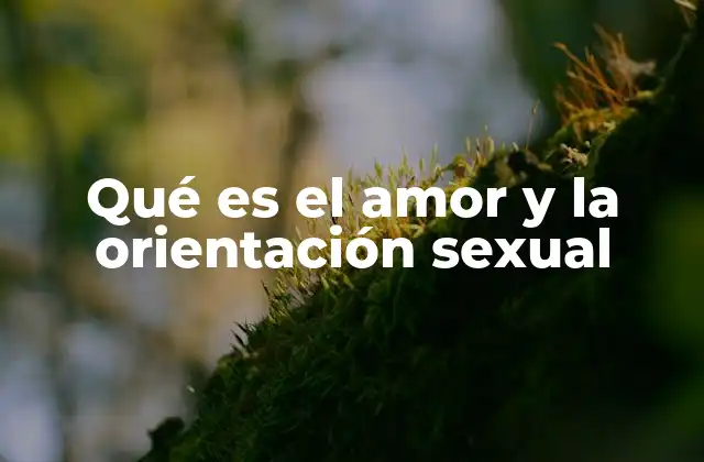 Qué es el Amor y la Orientación Sexual