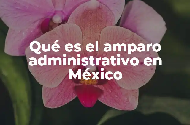 El amparo administrativo como mecanismo de defensa ciudadana