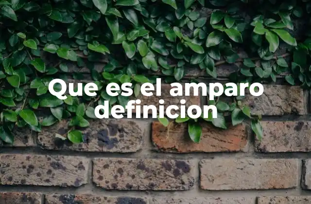 Que es el Amparo Definicion