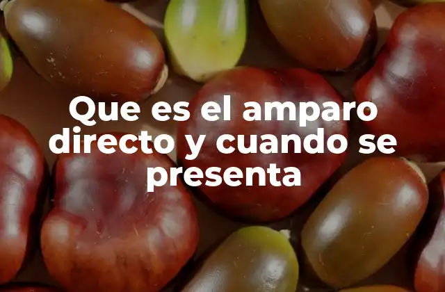 Que es el Amparo Directo y Cuando Se Presenta