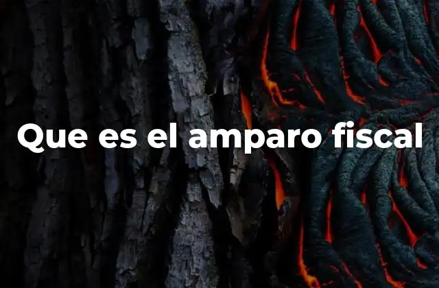 Que es el Amparo Fiscal