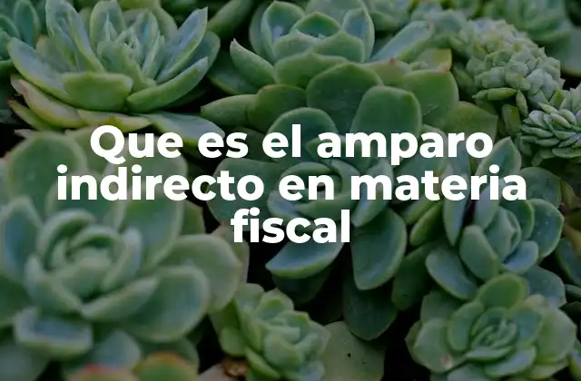 Que es el Amparo Indirecto en Materia Fiscal
