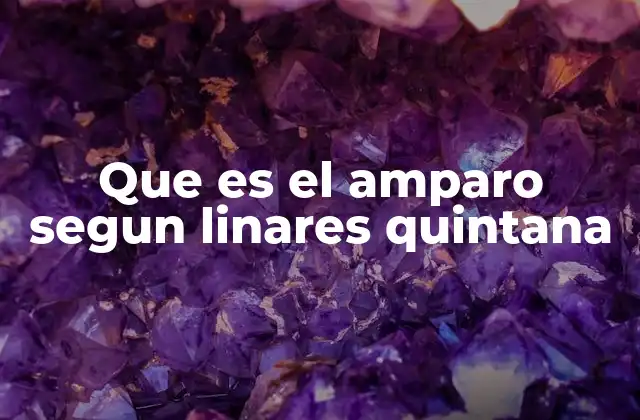 Que es el Amparo Segun Linares Quintana