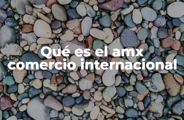 Qué es el Amx Comercio Internacional