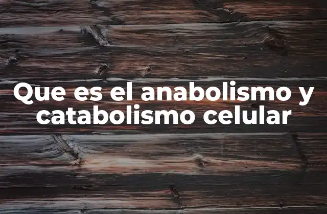 Que es el Anabolismo y Catabolismo Celular