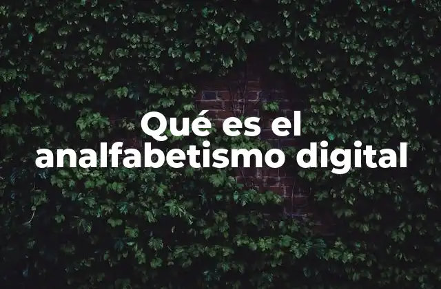 Qué es el Analfabetismo Digital
