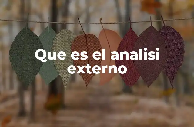 Que es el Analisi Externo