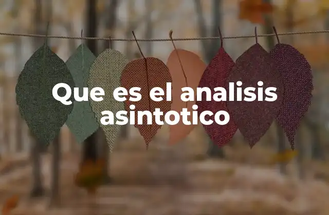 Que es el Analisis Asintotico