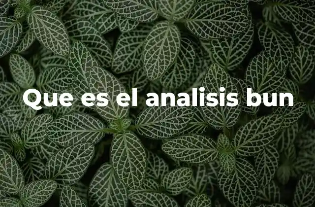 Que es el Analisis Bun