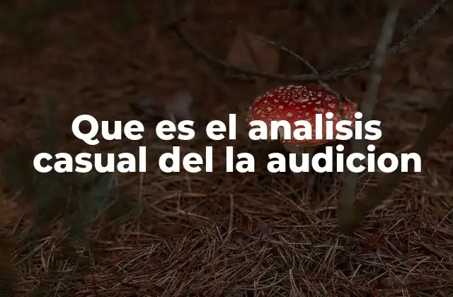 Que es el Analisis Casual Del la Audicion