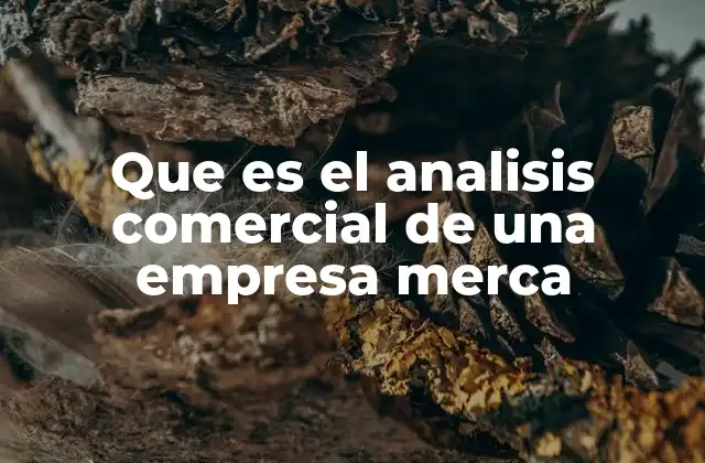 Que es el Analisis Comercial de una Empresa Merca 2 Cómo el análisis comercial permite evaluar la salud de una empresa