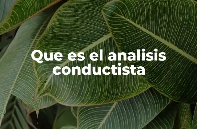Que es el Analisis Conductista
