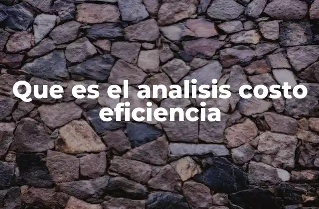 Que es el Analisis Costo Eficiencia
