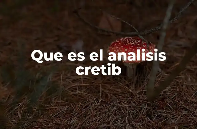 Que es el Analisis Cretib