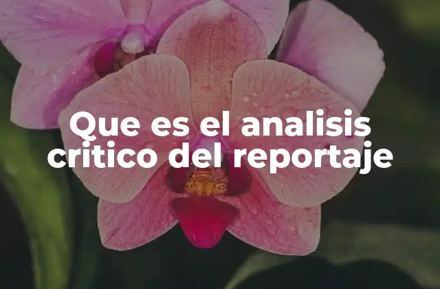 Que es el Analisis Critico Del Reportaje