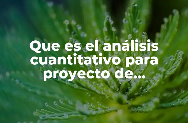 Que es el Análisis Cuantitativo para Proyecto de Reconstruccion Mexico
