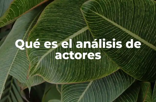 Qué es el Análisis de Actores